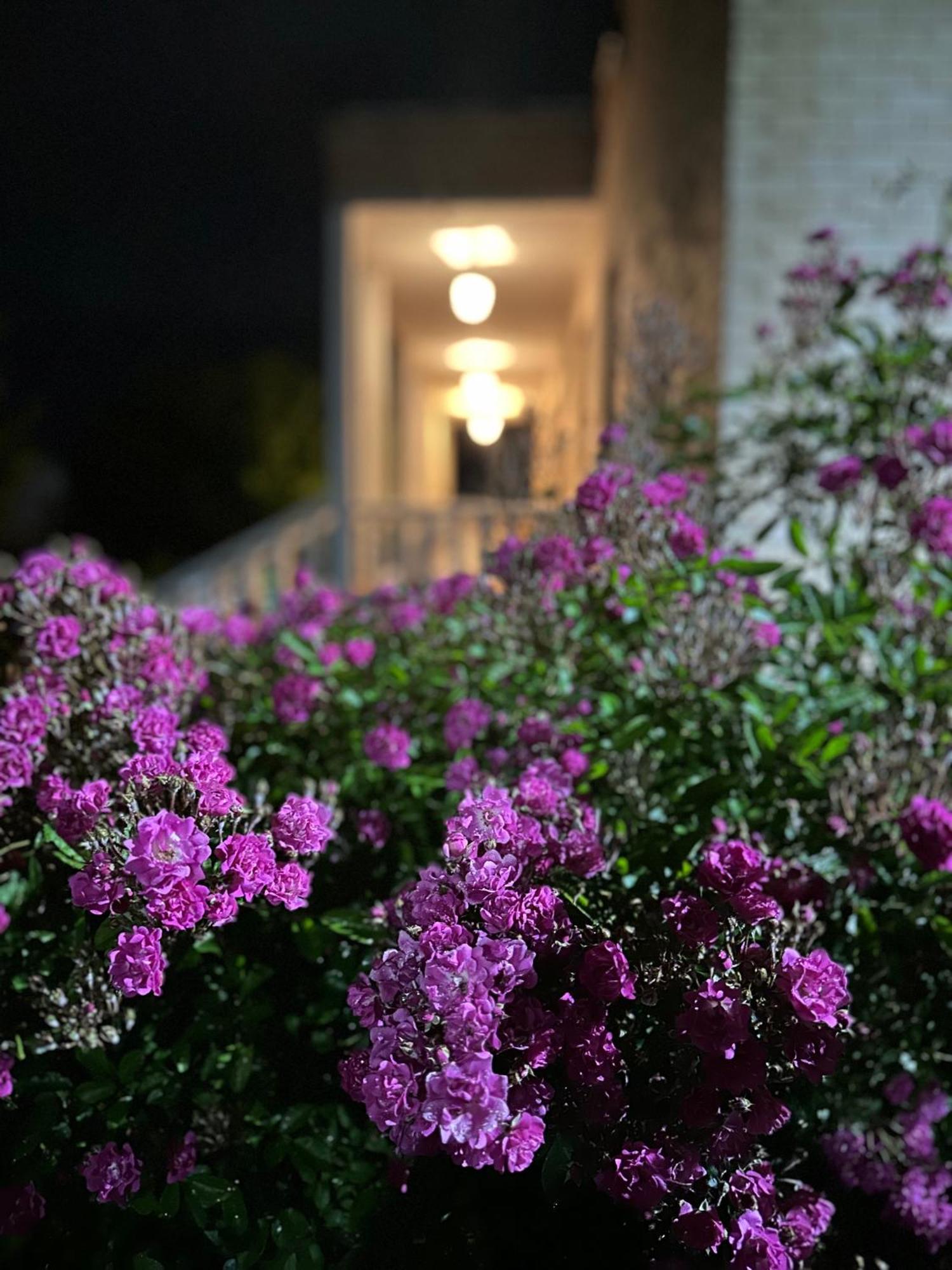 Khedi House Daire Kutaisi